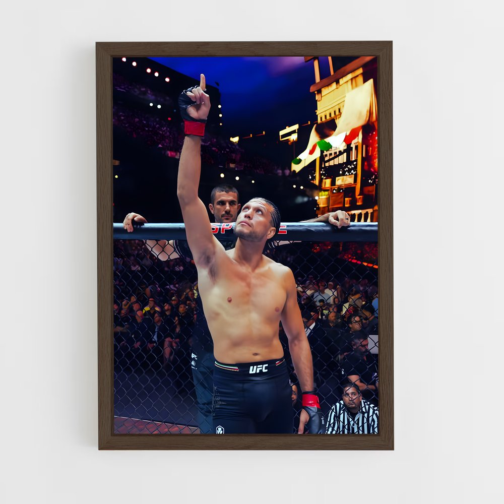 Poster La Victoire de Stipe – affiche MMA (vue 5)